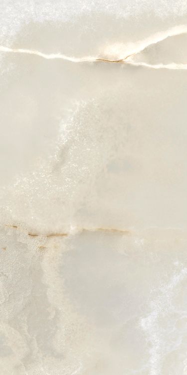 Reves Perle Matte 12 x 24